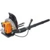 GT GARDEN Souffleur à Dos Thermique, 65 Cm3 3 GT GARDEN Souffleur à Dos Thermique, 65 Cm3 -GT GARDEN Soldes 2024 1165514 1