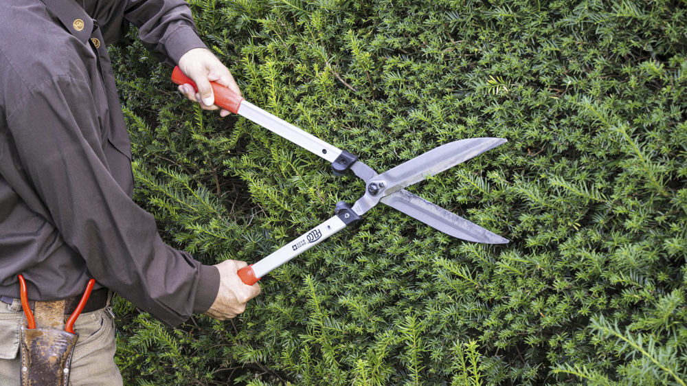 GT GARDEN Soldes 2024 -GT GARDEN Soldes 2024 973d7cfb d premiere cisaille a haie de felco 1000x562 1